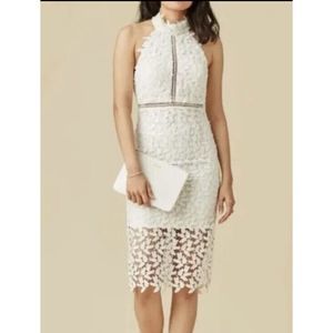 Bardot White Lace Halter Sheath Dress